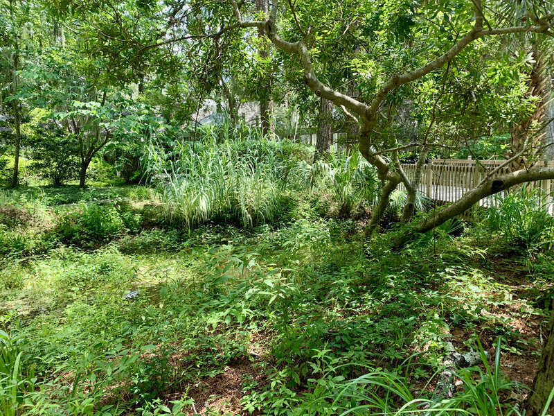 The Xeriscape Garden, located at the Town of Hilton Head Island Government Offices off Wexford Drive, provides a unique open space for residents and visitors. It is a great demonstration of gardening with little supplemental watering.