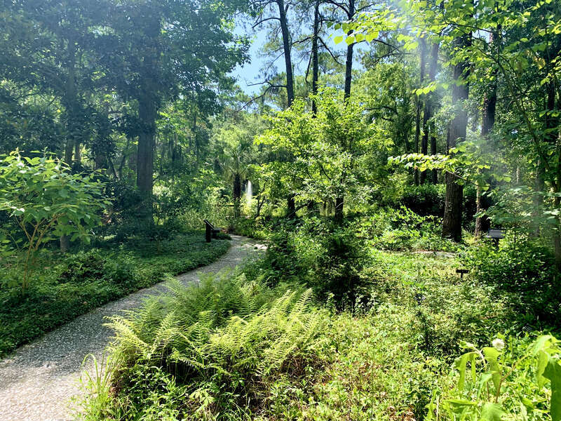 The Xeriscape Garden, located at the Town of Hilton Head Island Government Offices off Wexford Drive, provides a unique open space for residents and visitors. It is a great demonstration of gardening with little supplemental watering.