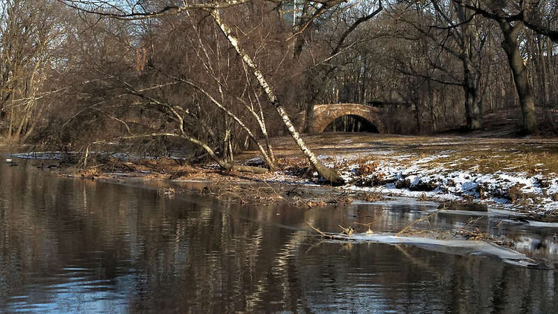 By Muddy River in Winter B