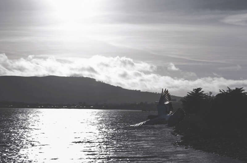 500px provided description: Dsc 3583 Jpg [#landscape ,#city ,#night ,#architecture ,#lights ,#fashion ,#conceptual ,#long exposure ,#sf ,#bay ,#area ,#city lights ,#urbex ,#explore ,#urban explore ,#bay area]