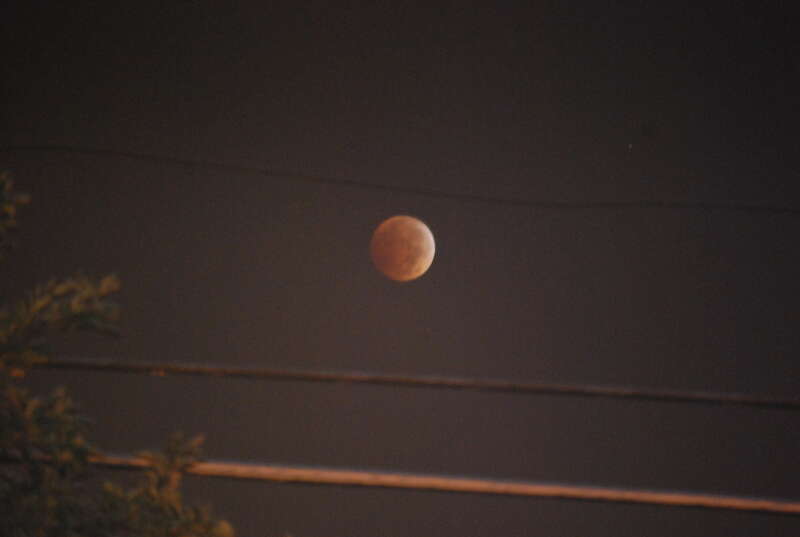 I've never seen the moon blood-red before, and I'm glad I got to see it unobscured by clouds (scattered ones had just passed by before I took this picture).
If you live in the Chicago area, I hope you got a chance to see it.
And taking these kinds of