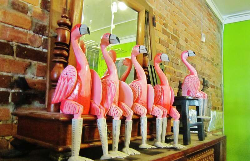 Flamingos resting in a boutique, East 7th Ave. Ybor City, Tampa. / Flamants roses se reposant en attendant un client décidé
