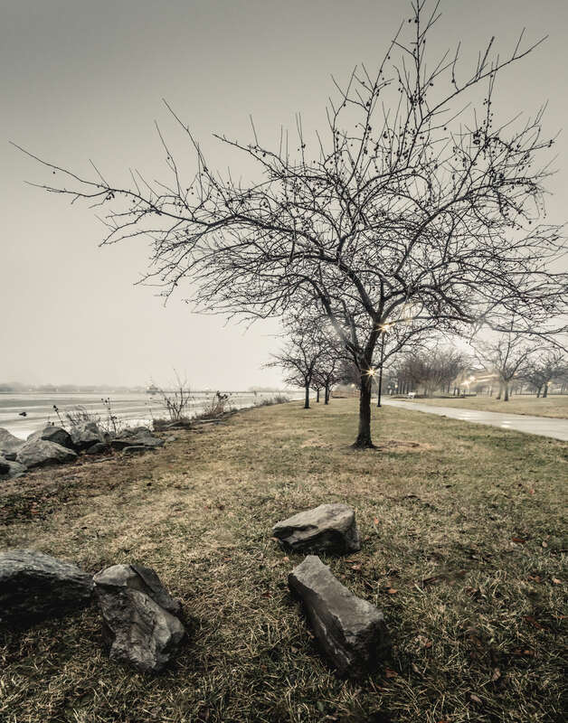 The river was still frozen when this was taken, now a few weeks later it is ice free, normally doesn't happen until late March.
Three shot vertical panorama.

XF: Experimental Fridays