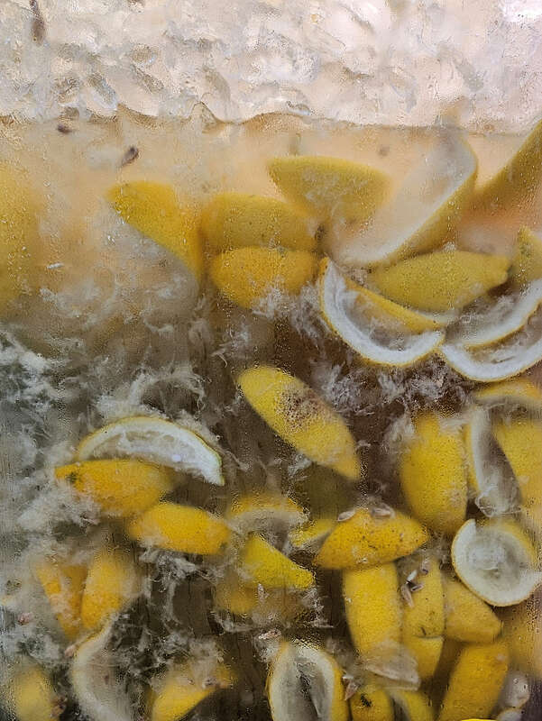 Container of fresh lemonade and lemons