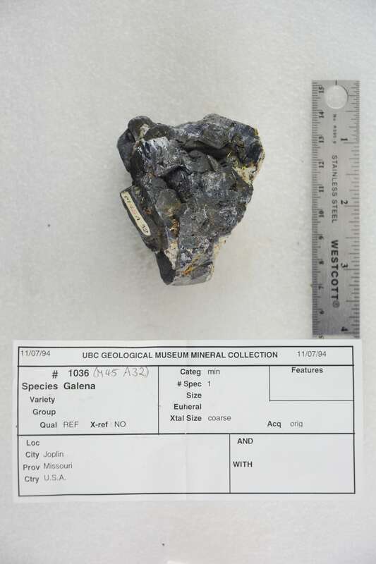 Joplin
Missouri, USA

1036