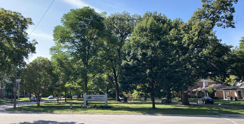 George Street Parkway, Skokie, IL