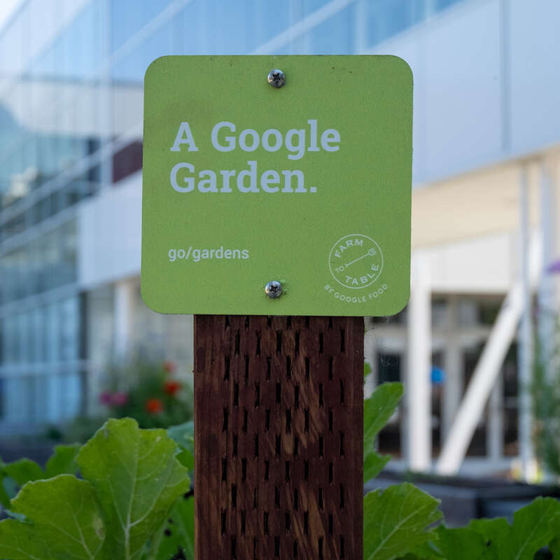 Googleplex in June 2019