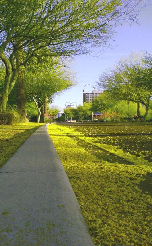 Indian School Steel Park