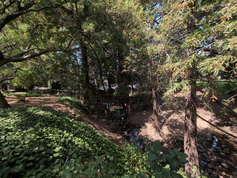 Live Oak Park (park in Berkeley, United States of America)