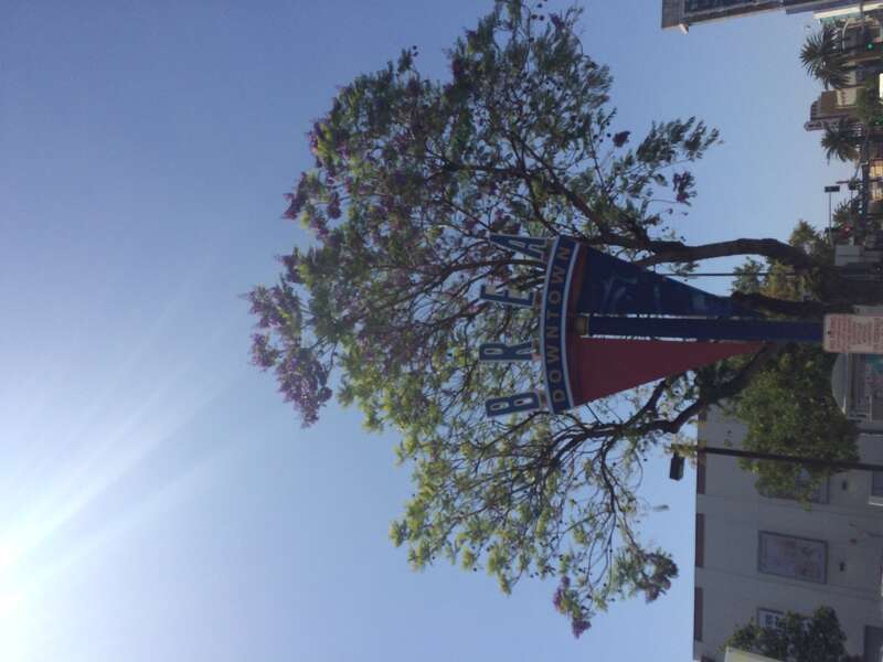 California, USA - May 2016

Los Angeles