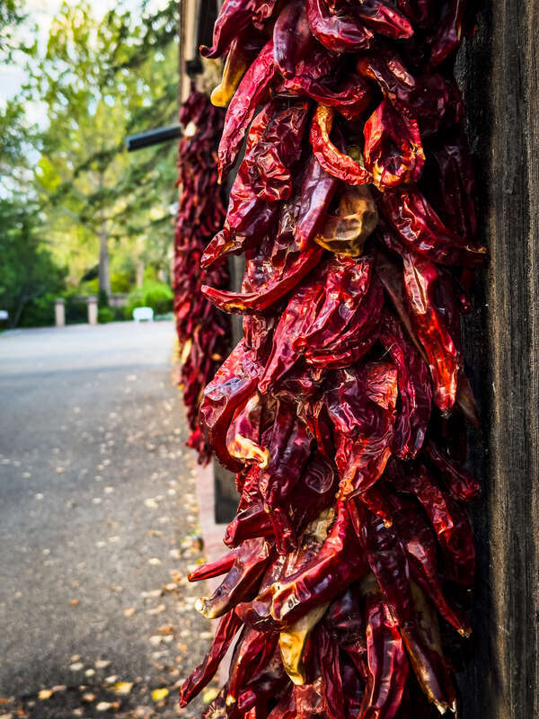 A ristra of dried chili peppers hanging from the porch of the old house in Los Poblanos farm in Alberqueque, New Mexico, USA.
