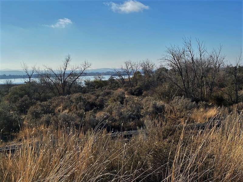 Lower Snake River Archaeological District  North-northwest view of district from riverside area of Burbank.