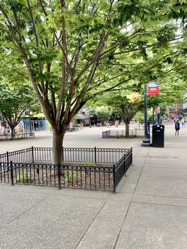 The location of Knoxville’s main city market house from 1853 until 1960, this pedestrian plaza was created in the early 1980s as part of a downtown renewal project that was coordinated with the 1982 World’s Fair, held in the Second Creek Gulch
