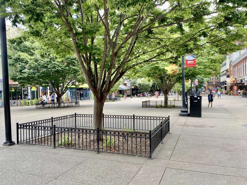 The location of Knoxville’s main city market house from 1853 until 1960, this pedestrian plaza was created in the early 1980s as part of a downtown renewal project that was coordinated with the 1982 World’s Fair, held in the Second Creek Gulch