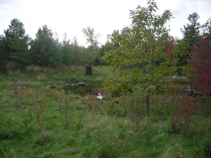 The Sculpture Park at the Frederik Meijer Gardens &amp;amp; Sculpture Park in Grand Rapids Township, Michigan (United States).