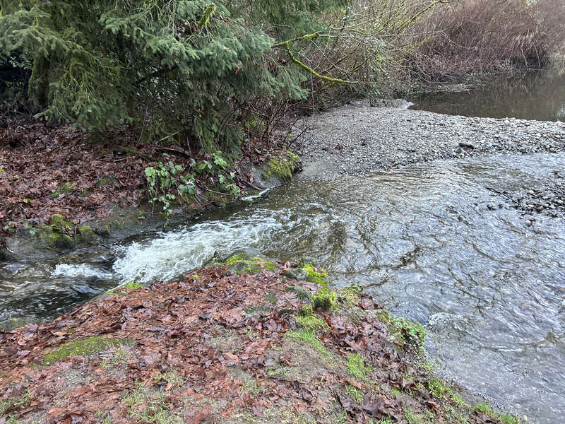 Settling Pond at the Mill Creek Canyon Earthworks, a public park in Kent, Washington.
