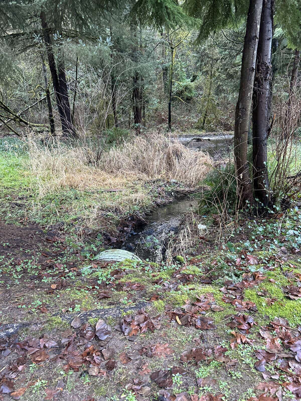 Waterway at the Mill Creek Canyon Earthworks, a public park in Kent, Washington.