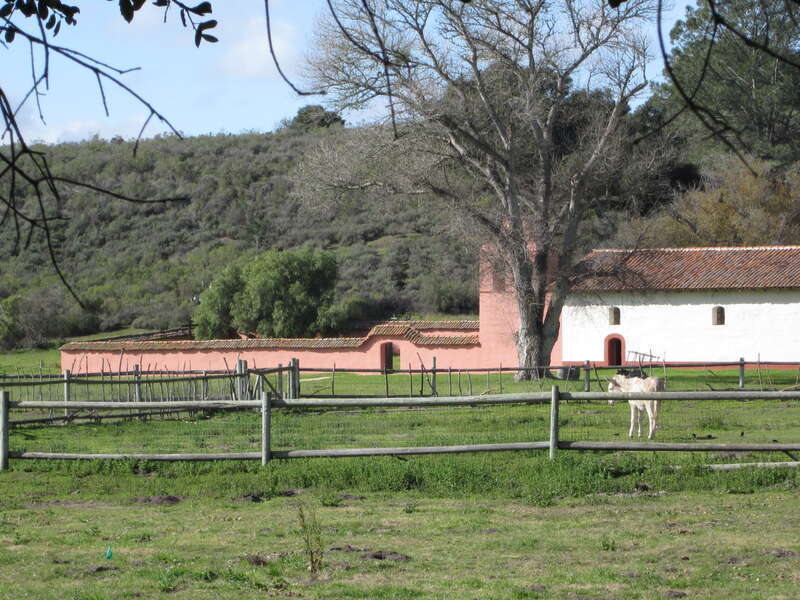 A burro rests in the pasture at the La Purisima Mission