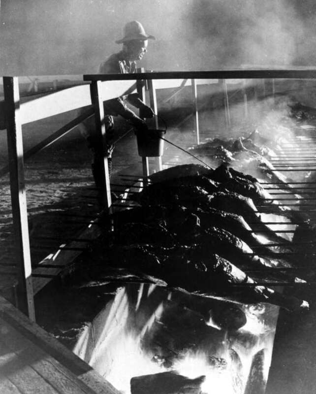 Local call number: c003870
Title: [Oscar Osteen barbecues 5,000 pounds of beef: Fort Pierce, Florida]
Date: 1947
Physical descrip: 1 photoprint: b&amp;amp;w; 5 x 4 in.
General note: This is an American Legion barbecue for Lake Okeechobee-Fort Pierce