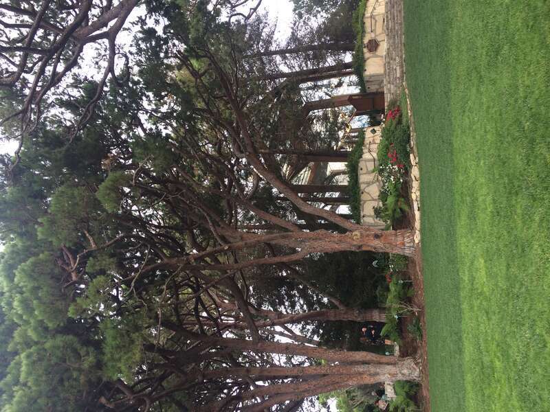 California, USA - November 2016