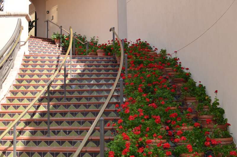 Perfect Day in Fashion Island, Newport Center, Newport Beach, Ca, USA