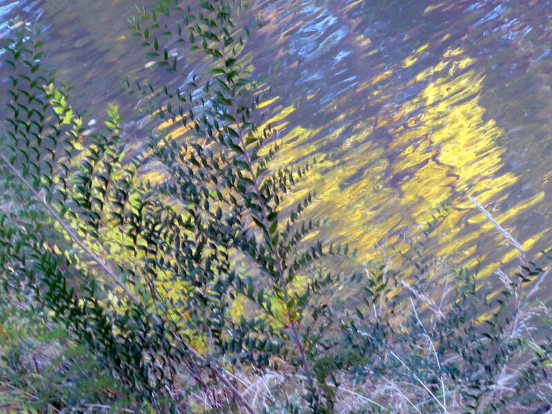 RIPPLING WATER-FALL FOLIAGE