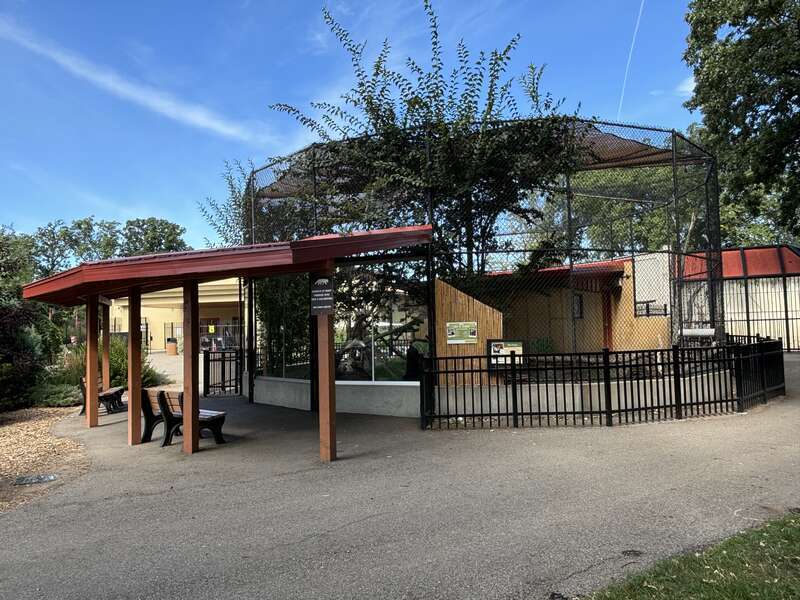 The Red Panda enclosure ate the Roosevelt Park Zoo in Minot, North Dakota.