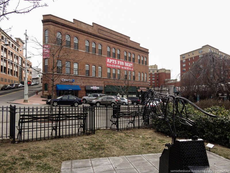 Image by Dennis Fraevich, requiring further identification/categorization.