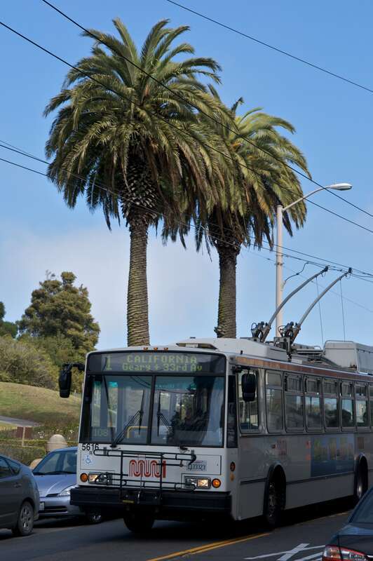 Škoda/ETI 14TrSF trolleybus in San Francisco, westbound on Sacramento Street at Octavia Street, passing palm trees in Lafayette Park, on route 1-California Street