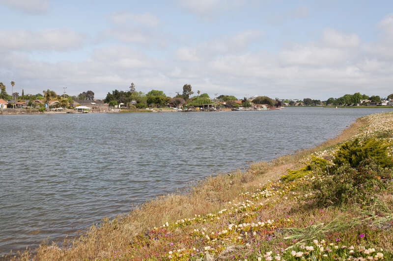 Houses in San Mateo, California, along the Seal Slough.