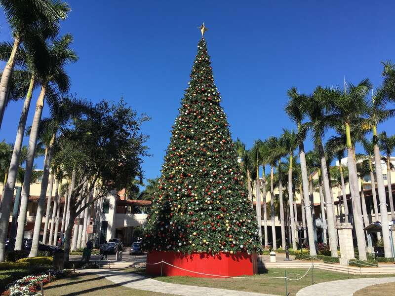 Shops At Merrick Park - Big Xmas Tree, January 2018