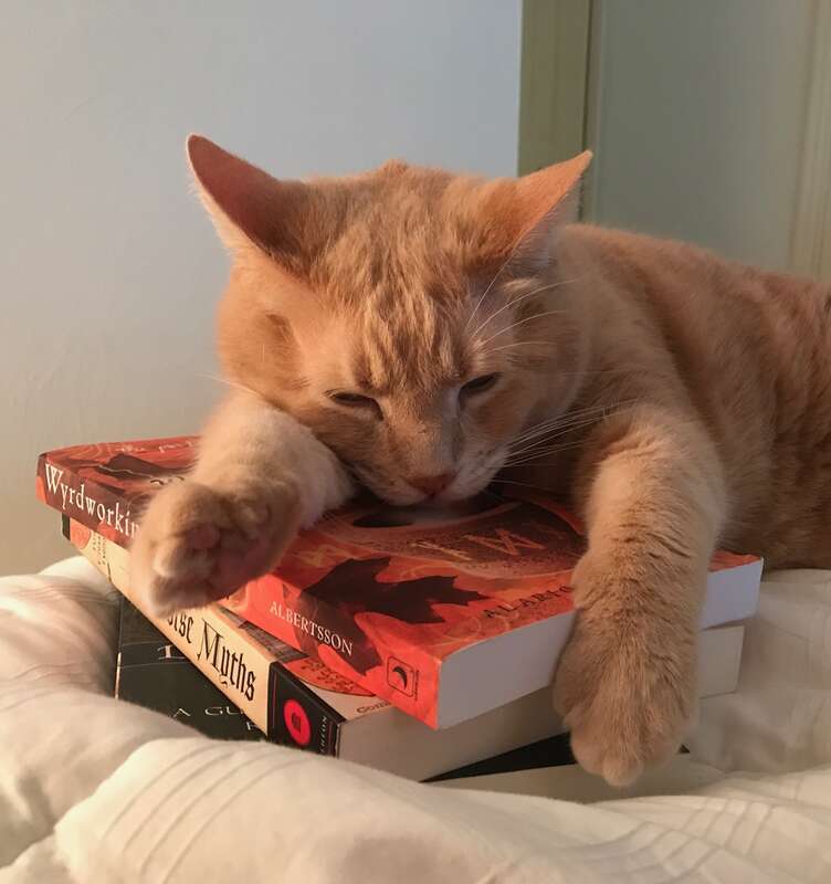 taking a study break