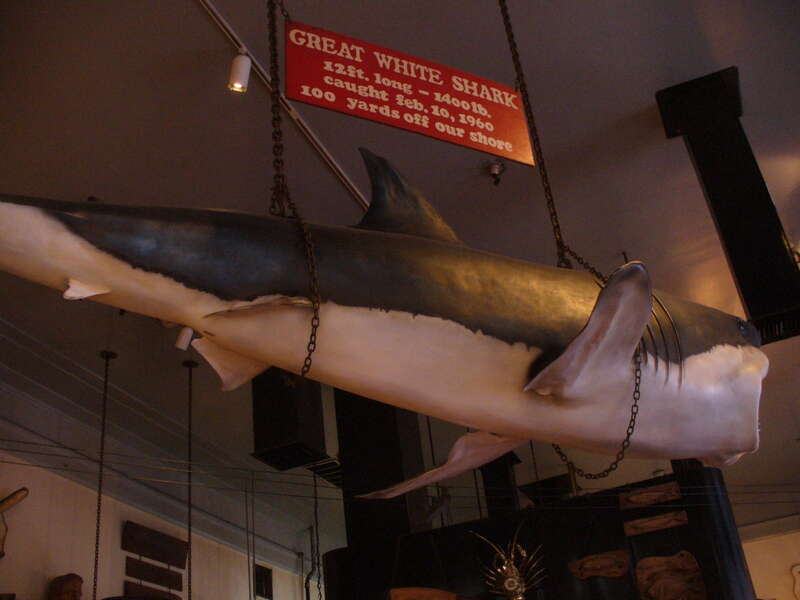 The Crab Cooker in  Newport Beach, CaliforniaApril 07 124