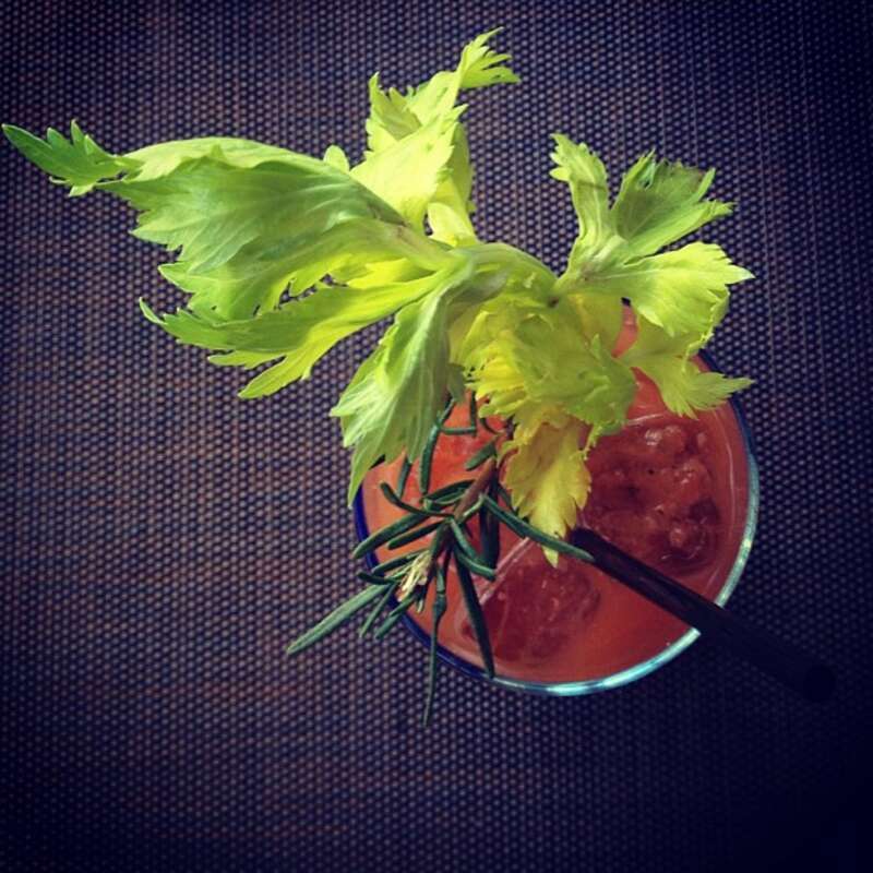 the bestest of the bloodies