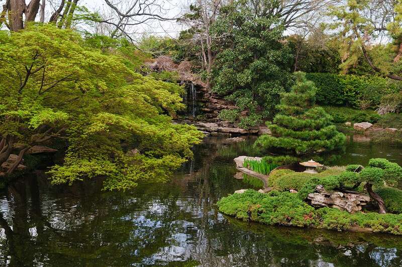 View of the fish pond in the Japanese Gardens at the Ft. Worth Botanic Gardens