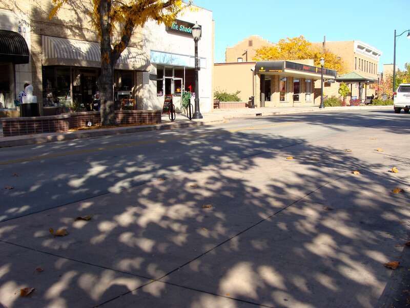 Leaf shadow projections of partial solar eclipse