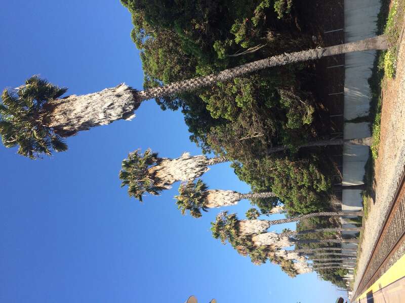 California, USA - August 2016