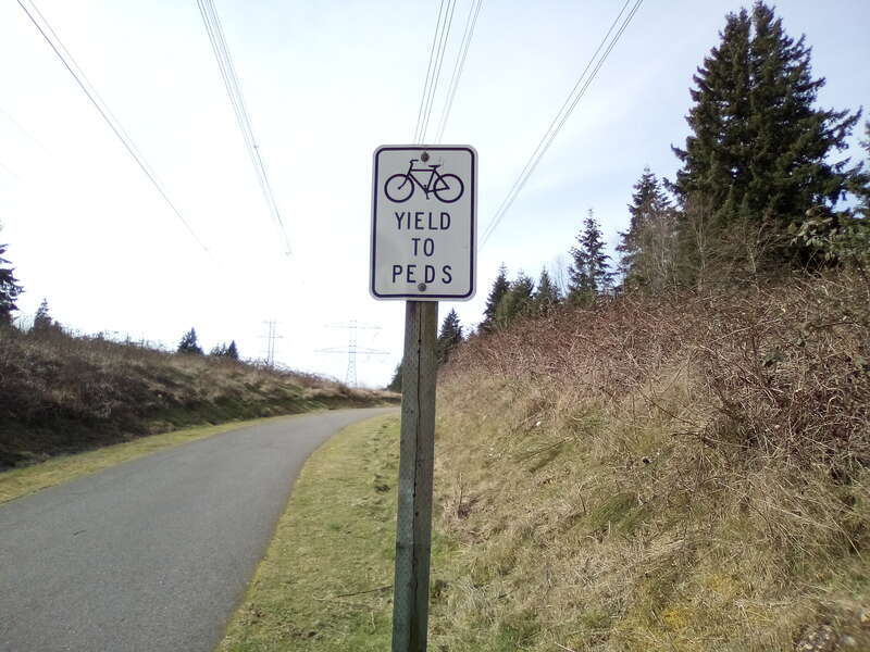 Yield to peds (pedestrians).