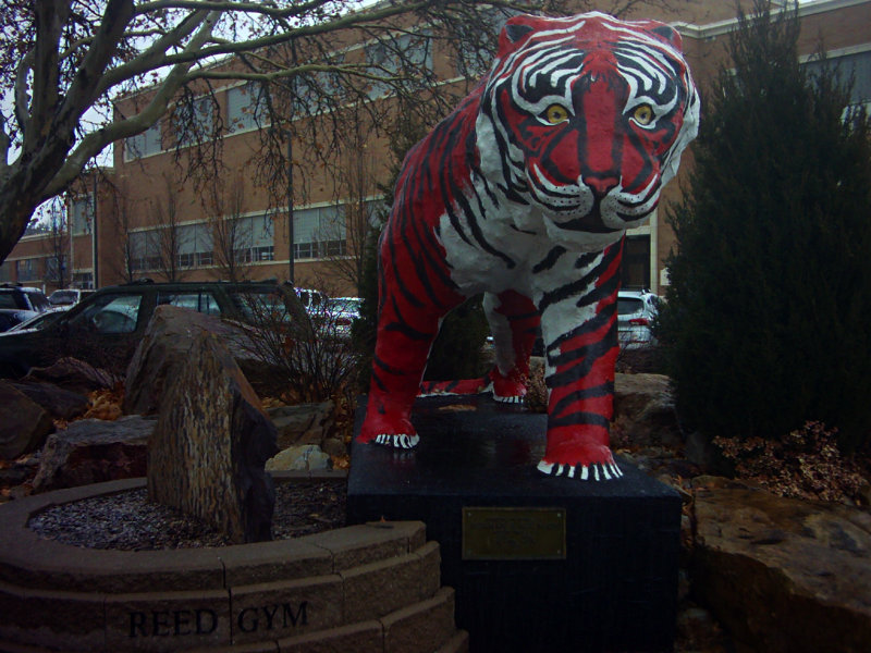 &quot;I'm the Cat!&quot;