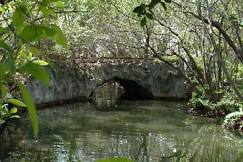 Arch Creek natural limestone bridge. Photo by Robert A. Burr, 2005