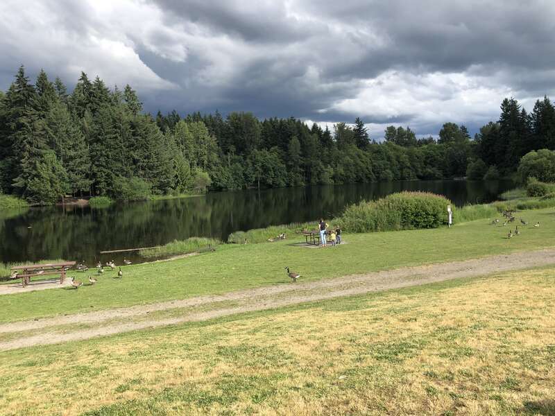 Bradley Lake Park (Puyallup, Washington)