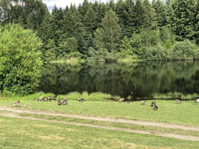 Bradley Lake Park (Puyallup, Washington)