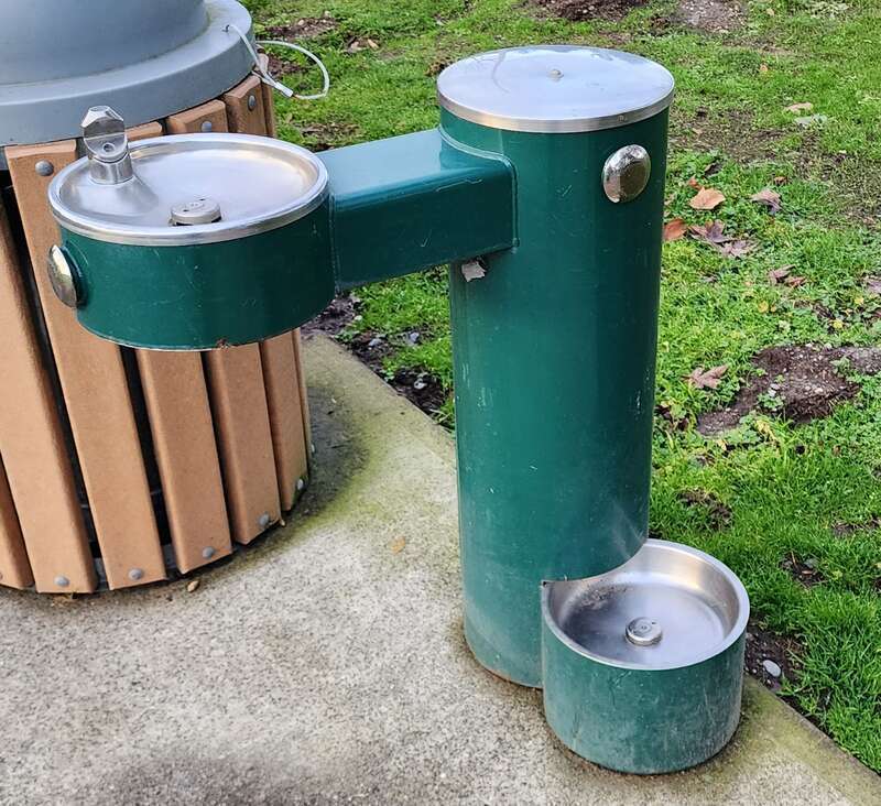 A drinking water fountain or bubbler with an animal drinking feature, this particular one is located in Redmond Washington.