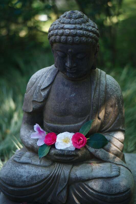 San Mateo Central Park: Japanese Tea Garden