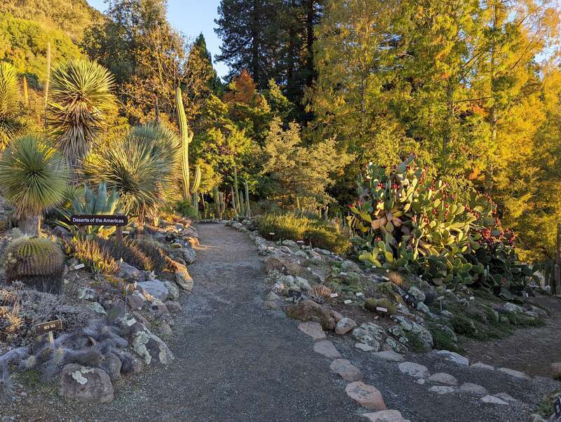 A photo in the Botanic Garden of the University of California, from the top of the roof of the garden at the address Berkeley, California, USA
