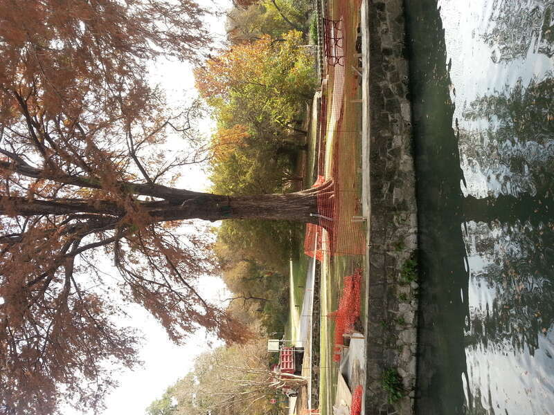 Alamo Heights, San Antonio, TX, USA