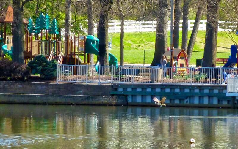 Allen Pond Park Apr 9, 2017, 9-039_edit