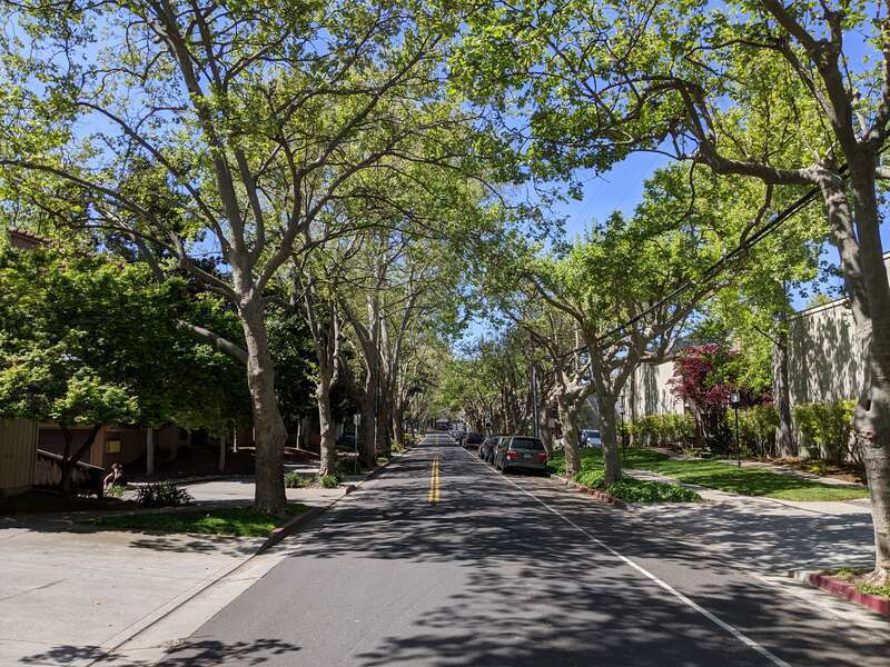A view looking east down Apricot Avenue in Campbell, California.