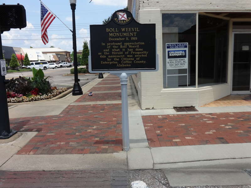 Enterprise, Coffee County, Alabama