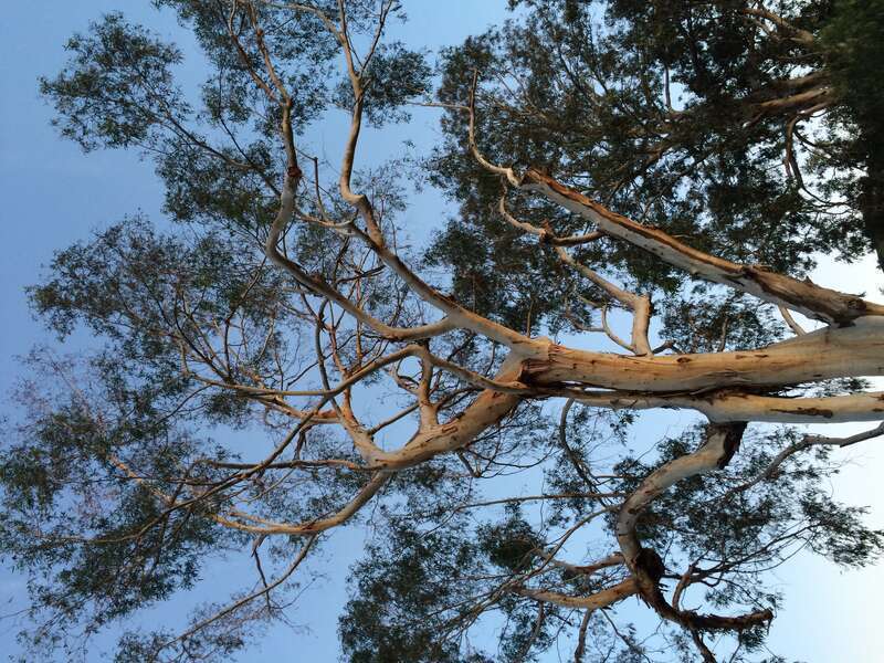 California, USA - March 2016

Orange County, California in March 2016